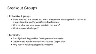 Breakout Groups
• In breakout groups:
• Share who you are, where you work, what you’re working on that relates to
energy, forestry, and/or workforce development
• Who or what are your major assets in this work?
• What are your challenges?
• Facilitators:
• Erica Bjelland, Region Five Development Commission
• Carol Cohen, Rural Community Assistance Corporation
• Amy Hause, Rural Development Initiatives
 