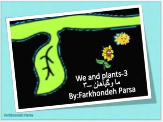 We and plants 3,4