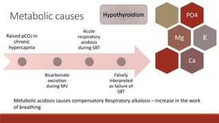 Metabolic causes PO4
Mg K
Ca
Raised pCO2 in
chronic
hypercapnia
Bicarbonate
excretion
during MV
Acute
respiratory
acidosis
during SBT
Falsely
interpreted
as failure of
SBT
Metabolic acidosis causes compensatory Respiratory alkalosis – Increase in the work
of breathing
Hypothyroidism
 