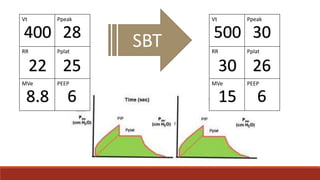 Vt Ppeak
RR Pplat
MVe PEEP
400 28
2522
8.8 6
SBT
Vt Ppeak
RR Pplat
MVe PEEP
500 30
2630
15 6
 