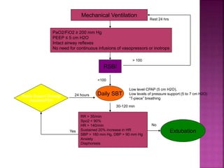 Daily SBT
<100
Mechanical Ventilation
RR > 35/min
Spo2 < 90%
HR > 140/min
Sustained 20% increase in HR
SBP > 180 mm Hg, DBP > 90 mm Hg
Anxiety
Diaphoresis
30-120 min
PaO2/FiO2 ≥ 200 mm Hg
PEEP ≤ 5 cm H2O
Intact airway reflexes
No need for continuous infusions of vasopressors or inotrops
RSBI
Extubation
No
> 100
Rest 24 hrs
Yes
Stable Support Strategy
Assisted/PSV
24 hours
Low level CPAP (5 cm H2O),
Low levels of pressure support (5 to 7 cm H2O)
“T-piece” breathing
 