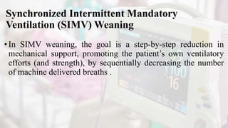 Synchronized Intermittent Mandatory
Ventilation (SIMV) Weaning
•In SIMV weaning, the goal is a step-by-step reduction in
mechanical support, promoting the patient’s own ventilatory
efforts (and strength), by sequentially decreasing the number
of machine delivered breaths .
 