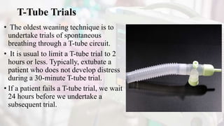 T-Tube Trials
• The oldest weaning technique is to
undertake trials of spontaneous
breathing through a T-tube circuit.
• It is usual to limit a T-tube trial to 2
hours or less. Typically, extubate a
patient who does not develop distress
during a 30-minute T-tube trial.
• If a patient fails a T-tube trial, we wait
24 hours before we undertake a
subsequent trial.
 
