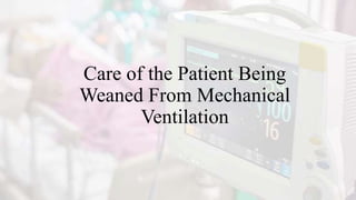 Care of the Patient Being
Weaned From Mechanical
Ventilation
 