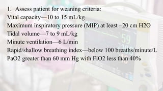 1. Assess patient for weaning criteria:
Vital capacity—10 to 15 mL/kg
Maximum inspiratory pressure (MIP) at least –20 cm H2O
Tidal volume—7 to 9 mL/kg
Minute ventilation—6 L/min
Rapid/shallow breathing index—below 100 breaths/minute/L
PaO2 greater than 60 mm Hg with FiO2 less than 40%
 