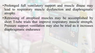 •Prolonged full ventilatory support and muscle disuse may
lead to respiratory muscle dysfunction and diaphragmatic
atrophy.
•Retraining of atrophied muscles may be accomplished by
short T-tube trials that improve respiratory muscle strength.
Pressure support ventilation may also be tried as it increases
diaphragmatic endurance
 