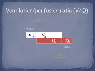 PAO2


V/Q=

 VD           VA
                   Qc           QS
                               V/Q=0


                        PaO2
 