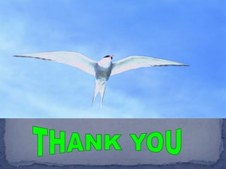 Weaning from ventilator