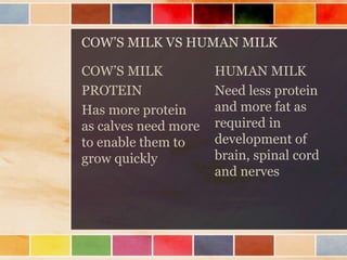 COW’S MILK VS HUMAN MILK
COW’S MILK
PROTEIN
Has more protein
as calves need more
to enable them to
grow quickly
HUMAN MILK
Need less protein
and more fat as
required in
development of
brain, spinal cord
and nerves
 