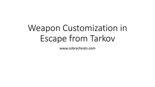 Weapon Customization in
Escape from Tarkov
www.cobracheats.com
 