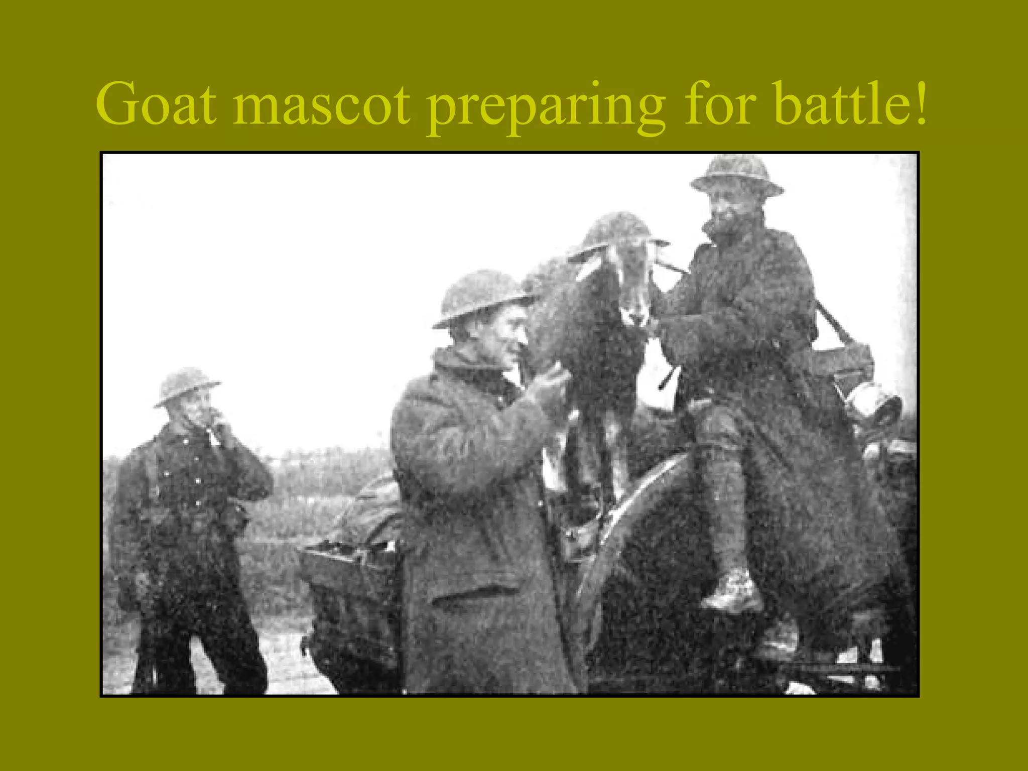 Goat mascot preparing for battle!
 