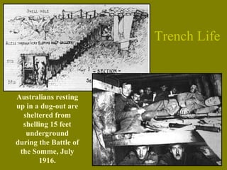 Australians resting
up in a dug-out are
sheltered from
shelling 15 feet
underground
during the Battle of
the Somme, July
1916.
Trench Life
 