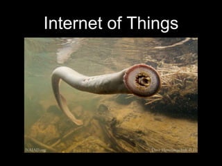 Internet of Things
 