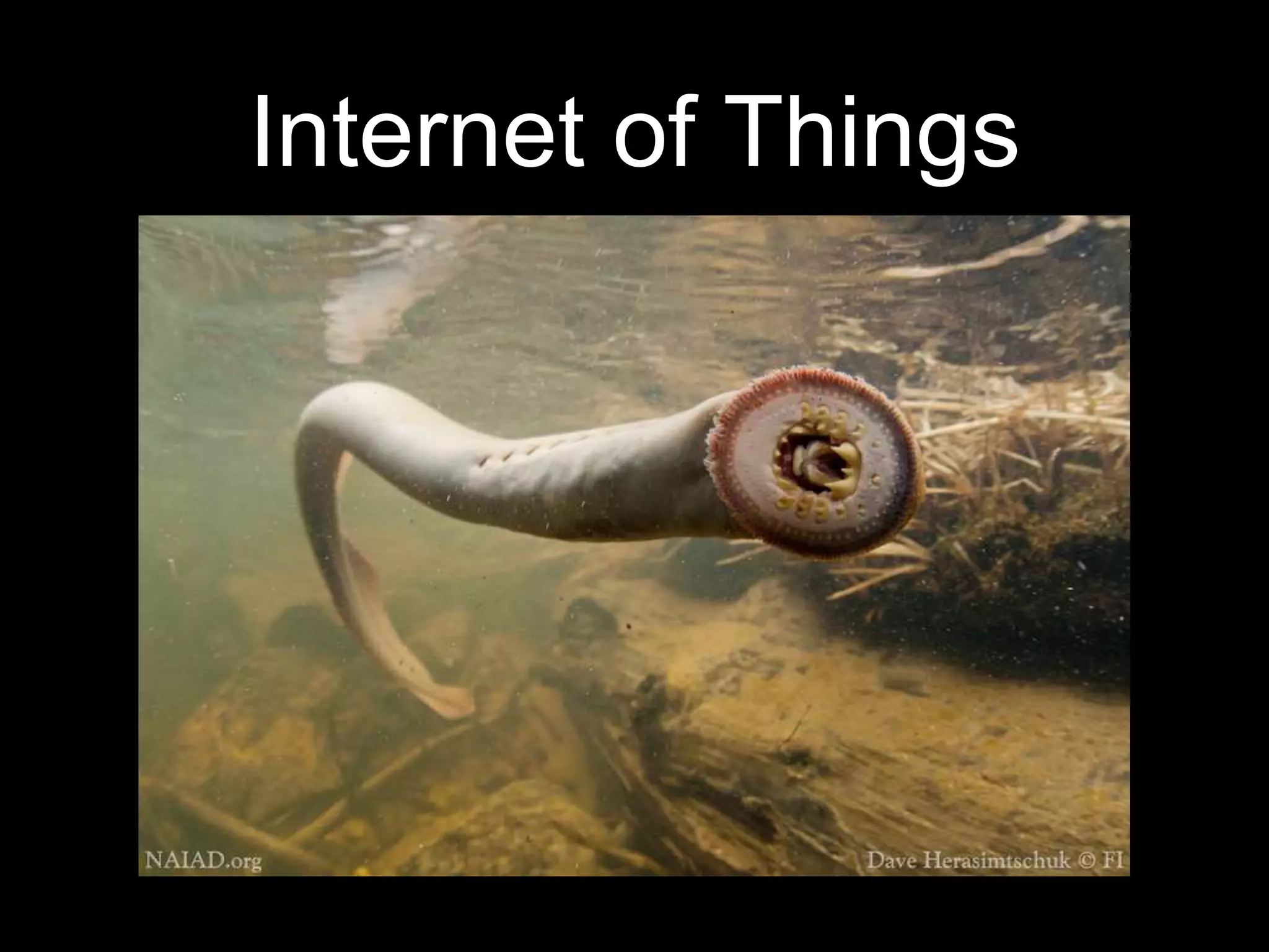 Internet of Things
 