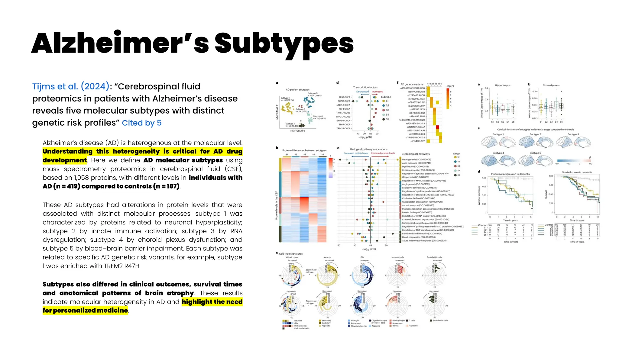 Alzheimer’s Subtypes
Tijms et al. (2024): “Cerebrospinal fluid
proteomics in patients with Alzheimer’s disease
reveals five molecular subtypes with distinct
genetic risk profiles” Cited by 5
Alzheimer’s disease (AD) is heterogenous at the molecular level.
Understanding this heterogeneity is critical for AD drug
development. Here we define AD molecular subtypes using
mass spectrometry proteomics in cerebrospinal fluid (CSF),
based on 1,058 proteins, with different levels in individuals with
AD (n = 419) compared to controls (n = 187).
These AD subtypes had alterations in protein levels that were
associated with distinct molecular processes: subtype 1 was
characterized by proteins related to neuronal hyperplasticity;
subtype 2 by innate immune activation; subtype 3 by RNA
dysregulation; subtype 4 by choroid plexus dysfunction; and
subtype 5 by blood–brain barrier impairment. Each subtype was
related to specific AD genetic risk variants, for example, subtype
1 was enriched with TREM2 R47H.
Subtypes also differed in clinical outcomes, survival times
and anatomical patterns of brain atrophy. These results
indicate molecular heterogeneity in AD and highlight the need
for personalized medicine.
 