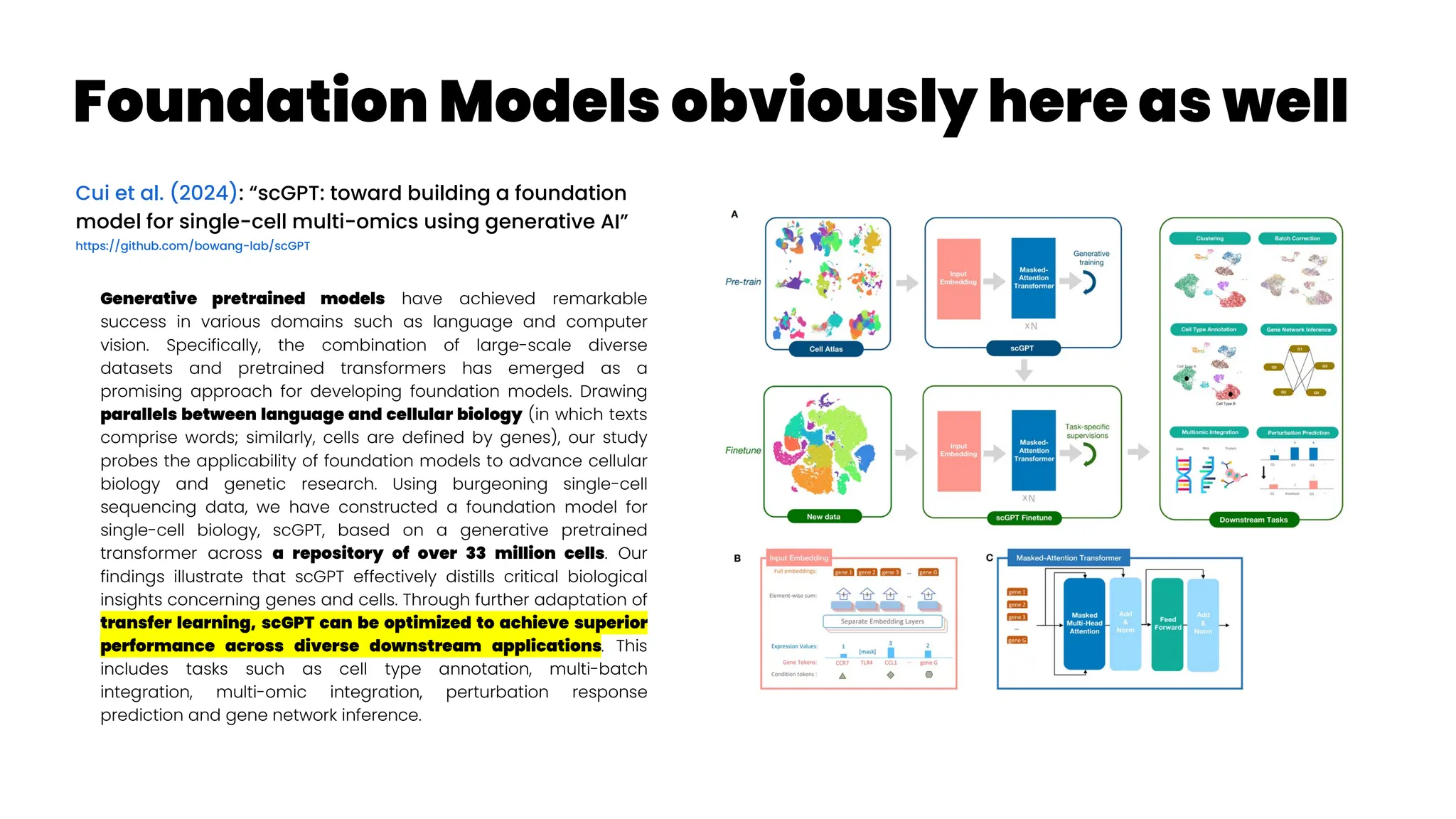 Foundation Models obviously here as well
Cui et al. (2024): “scGPT: toward building a foundation
model for single-cell multi-omics using generative AI”
https://github.com/bowang-lab/scGPT
Generative pretrained models have achieved remarkable
success in various domains such as language and computer
vision. Specifically, the combination of large-scale diverse
datasets and pretrained transformers has emerged as a
promising approach for developing foundation models. Drawing
parallels between language and cellular biology (in which texts
comprise words; similarly, cells are defined by genes), our study
probes the applicability of foundation models to advance cellular
biology and genetic research. Using burgeoning single-cell
sequencing data, we have constructed a foundation model for
single-cell biology, scGPT, based on a generative pretrained
transformer across a repository of over 33 million cells. Our
findings illustrate that scGPT effectively distills critical biological
insights concerning genes and cells. Through further adaptation of
transfer learning, scGPT can be optimized to achieve superior
performance across diverse downstream applications. This
includes tasks such as cell type annotation, multi-batch
integration, multi-omic integration, perturbation response
prediction and gene network inference.
 