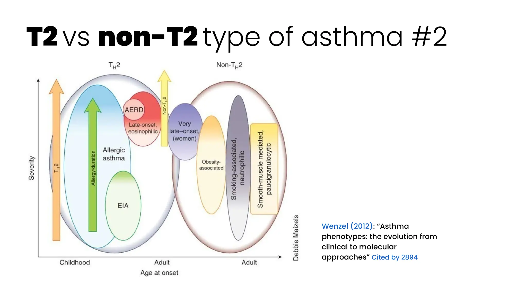T2 vs non-T2 type of asthma #2
Wenzel (2012): “Asthma
phenotypes: the evolution from
clinical to molecular
approaches” Cited by 2894
 