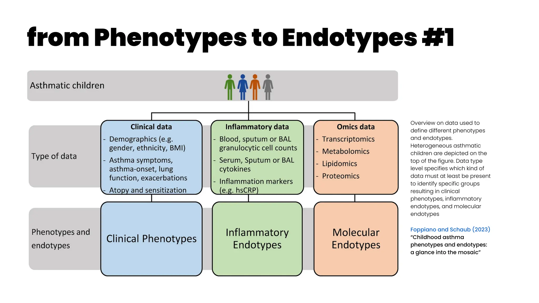 from Phenotypes to Endotypes #1
Overview on data used to
define different phenotypes
and endotypes.
Heterogeneous asthmatic
children are depicted on the
top of the figure. Data type
level specifies which kind of
data must at least be present
to identify specific groups
resulting in clinical
phenotypes, inflammatory
endotypes, and molecular
endotypes
Foppiano and Schaub (2023)
“Childhood asthma
phenotypes and endotypes:
a glance into the mosaic”
 