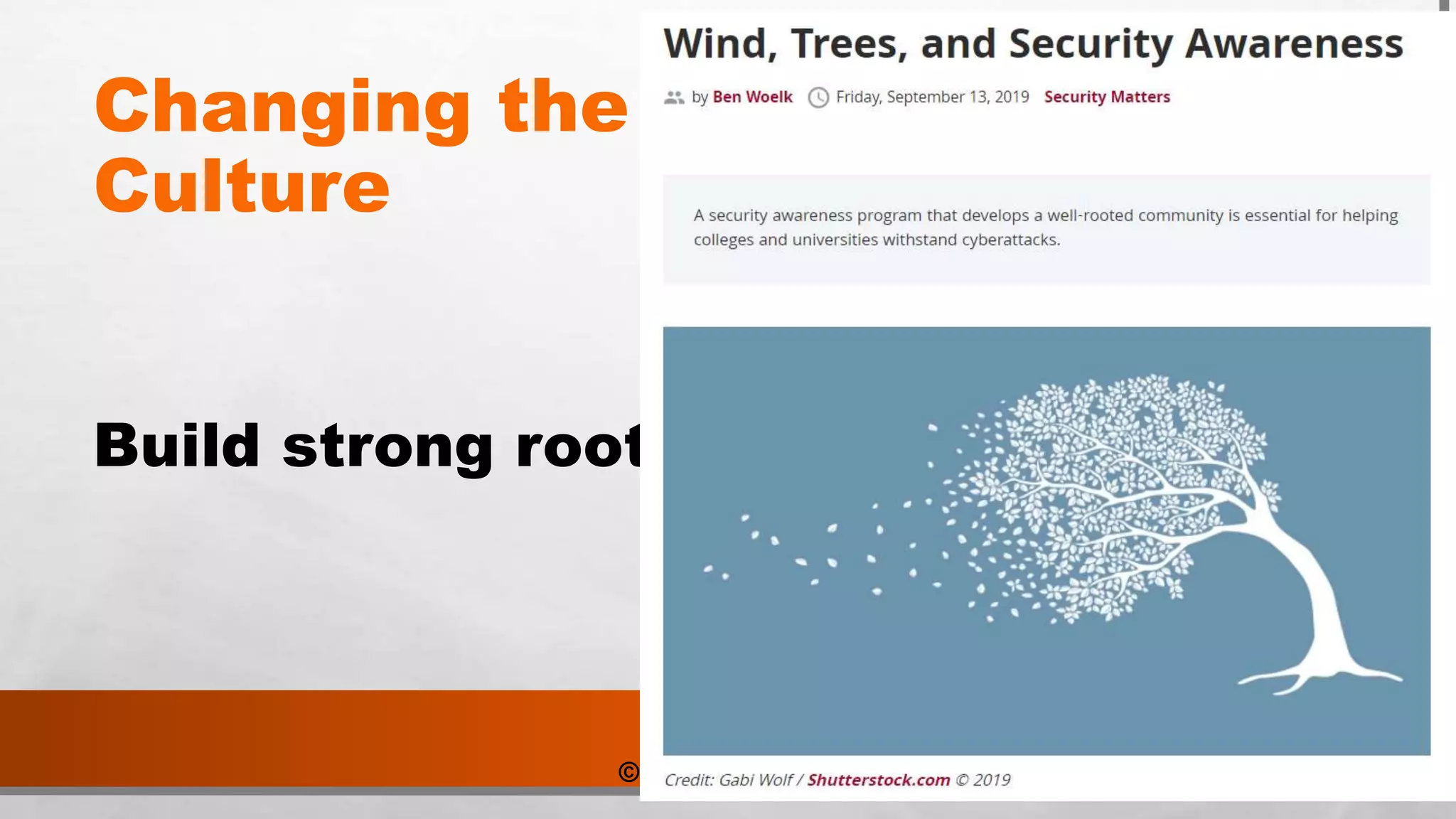 © 2019 Ben Woelk
Changing the
Culture
Build strong roots
 