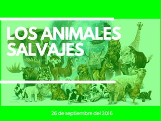 LOS ANIMALES
SALVAJES
26deseptiembredel2016
 