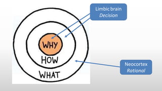 Neocortex
Rational
Limbicbrain
Decision
 