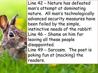 We are going to see the rabbit | PPTX