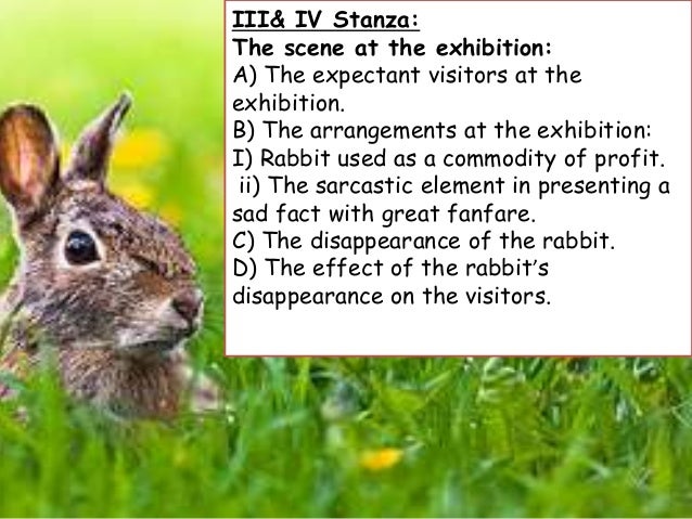 The discovery poem analysis picture