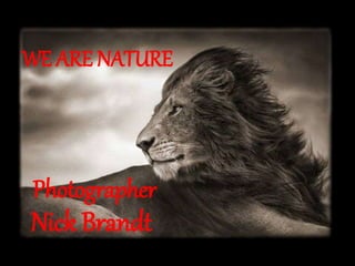 Photographer
Nick Brandt
WE ARE NATURE
 