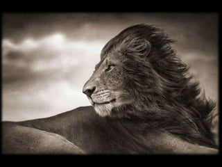 WE ARE NATURE with NICK BRANDT´S PHOTOS 