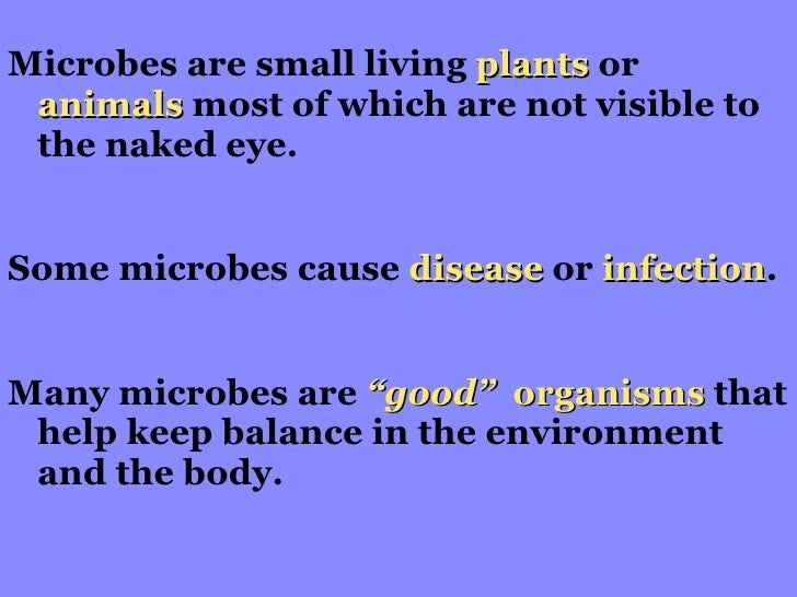 Is Breathe Good For Eye Infection For Dogs Is Breathe Good For Eye Infection For Dogs