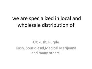 we are specialized in local and 
wholesale distribution of 
Og kush, Purple 
Kush, Sour diesel,Medical Marijuana 
and many others. 
 