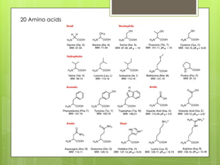 20 Amino acids
 