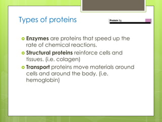  Enzymes are proteins that speed up the
rate of chemical reactions.
 Structural proteins reinforce cells and
tissues. (i.e. colagen)
 Transport proteins move materials around
cells and around the body. (i.e.
hemoglobin)
Types of proteins
 