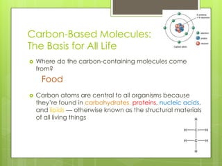 Carbon-Based Molecules:
The Basis for All Life
 Where do the carbon-containing molecules come
from?
 Carbon atoms are central to all organisms because
they’re found in carbohydrates, proteins, nucleic acids,
and lipids — otherwise known as the structural materials
of all living things
Food
 