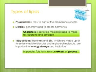  Phospholipids: they’re part of the membranes of cells
 Steroids: generally used to create hormones
 Triglycerides: These fats and oils, which are made up of
three fatty acid molecules and a glycerol molecule, are
important for energy storage and insulation
Types of lipids
Cholesterol is a steroid molecule used to make
testosterone and estrogen
In people, fats form from an excess of glucose
 