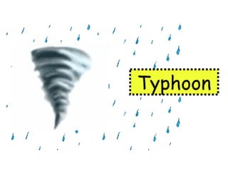 Typhoon 