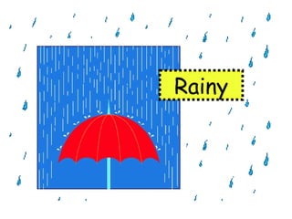 Rainy 