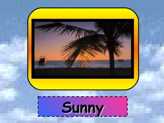 Sunny 