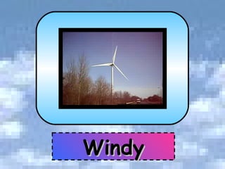 Windy 