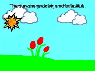 The sun shone down on the flowers. The flowers grew big and beautiful. 