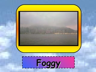 Foggy 