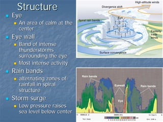 Structure
Eye
  An area of calm at the
  center
Eye wall
  Band of intense
  thunderstorms
  surrounding the eye
  Most intense activity
Rain bands
  alternating zones of
  rainfall in spiral
  structure
Storm surge
  Low pressure raises
  sea level below center
 