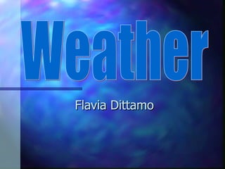 Flavia Dittamo Weather 