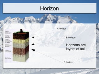 Horizon A horizon B horizon C horizon Horizons are layers of soil 