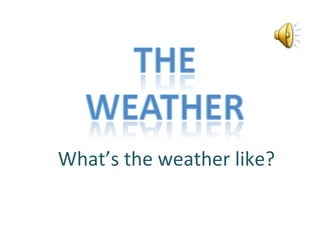 What’s the weather like? 