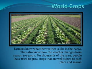 Farmers know what the weather is like in their area.
     They also know how the weather changes from
season to season. For thousands of the years, people
 have tried to grow crops that are well suited to each
                                    place and season
 
