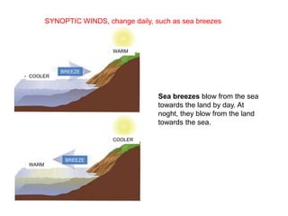SYNOPTIC WINDS, change daily, such as sea breezes

WARM

BREEZE
COOLER

Sea breezes blow from the sea
towards the land by day. At
noght, they blow from the land
towards the sea.
COOLER

BREEZE
WARM

 