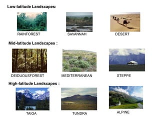 Low-latitude Landscapes:

RAINFOREST

SAVANNAH

DESERT

Mid-latitude Landscapes :

DEIDUOUSFOREST

MEDITERRANEAN

STEPPE

High-latitude Landscapes :

TAIGA

TUNDRA

ALPINE

 