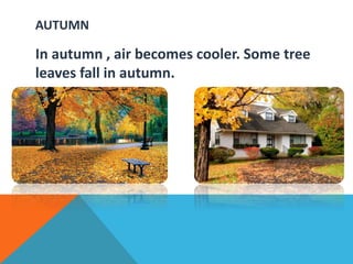 AUTUMN
In autumn , air becomes cooler. Some tree
leaves fall in autumn.
 