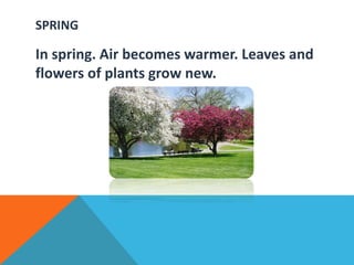 SPRING
In spring. Air becomes warmer. Leaves and
flowers of plants grow new.
 
